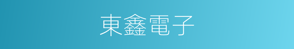 東鑫電子的同義詞