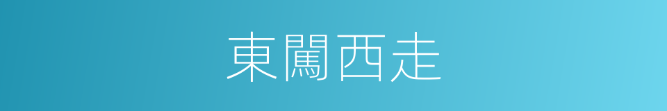 東闖西走的意思