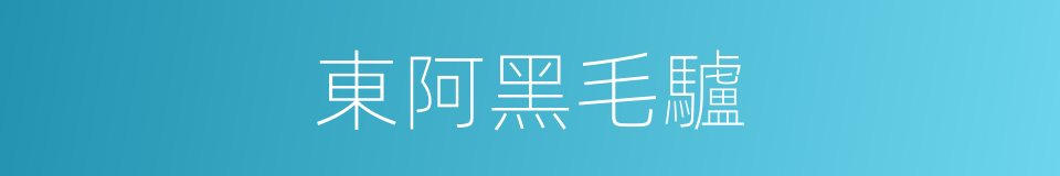 東阿黑毛驢的同義詞