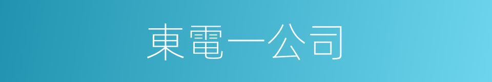 東電一公司的同義詞