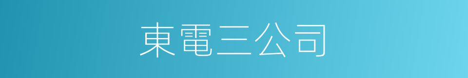 東電三公司的同義詞