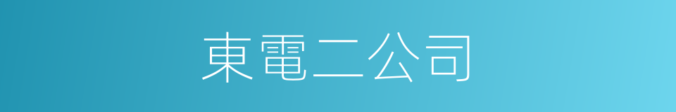 東電二公司的同義詞