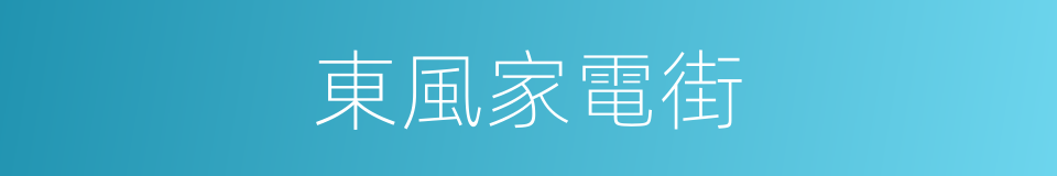 東風家電街的同義詞