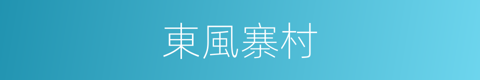 東風寨村的同義詞