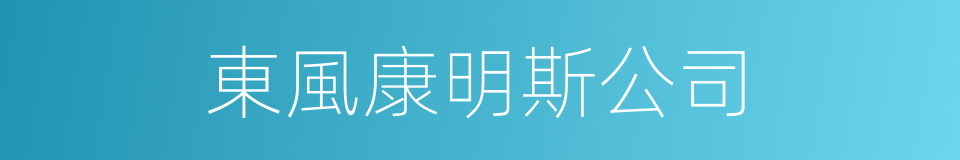 東風康明斯公司的同義詞