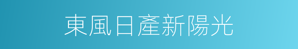 東風日產新陽光的同義詞