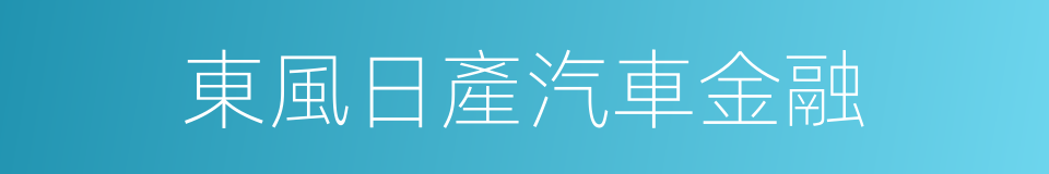 東風日產汽車金融的同義詞