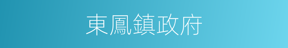 東鳳鎮政府的同義詞