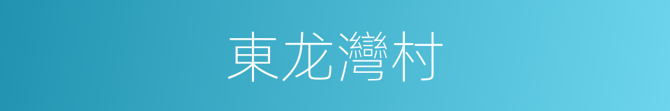 東龙灣村的同義詞