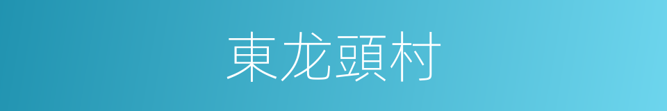 東龙頭村的同義詞