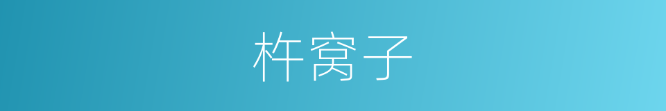 杵窝子的同义词