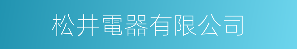 松井電器有限公司的同義詞