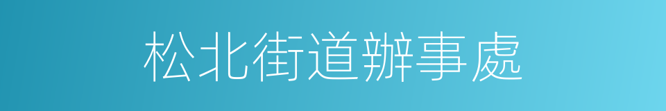 松北街道辦事處的同義詞