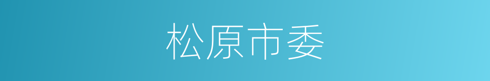 松原市委的同义词