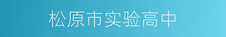 松原市实验高中的同义词