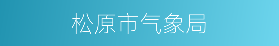 松原市气象局的同义词