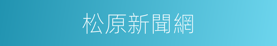 松原新聞網的同義詞