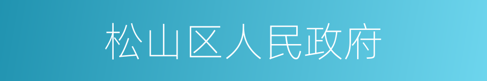 松山区人民政府的同义词