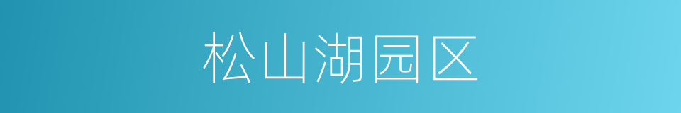 松山湖园区的同义词