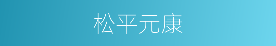 松平元康的同义词