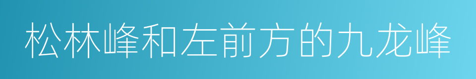 松林峰和左前方的九龙峰的同义词