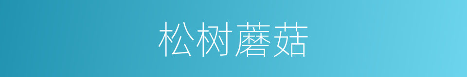 松树蘑菇的同义词