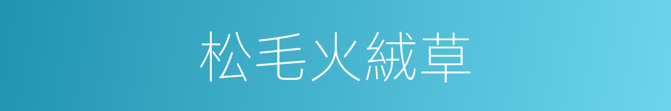 松毛火絨草的同義詞