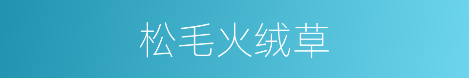 松毛火绒草的同义词