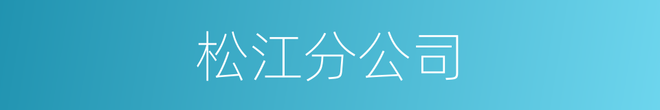 松江分公司的同义词