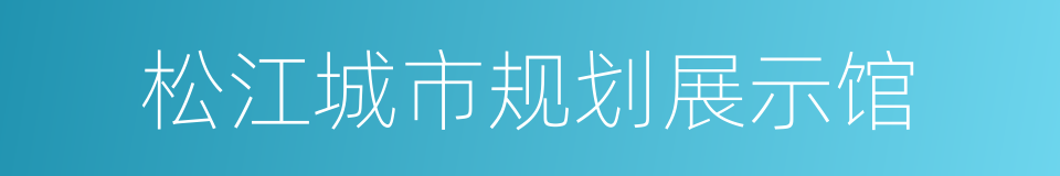 松江城市规划展示馆的同义词