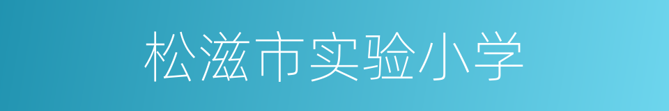 松滋市实验小学的同义词