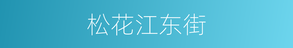 松花江东街的同义词