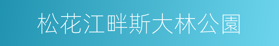 松花江畔斯大林公園的同義詞