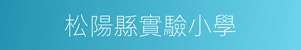 松陽縣實驗小學的同義詞