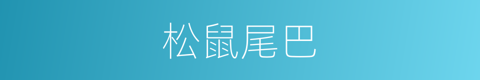 松鼠尾巴的同义词