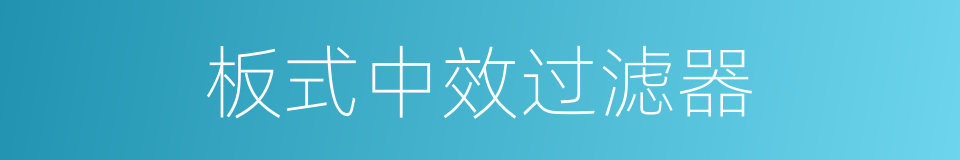板式中效过滤器的同义词