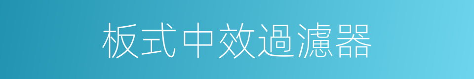 板式中效過濾器的同義詞