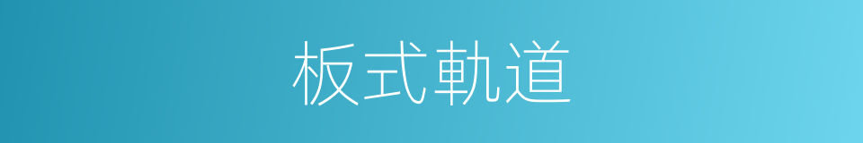 板式軌道的同義詞