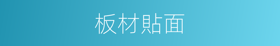 板材貼面的同義詞