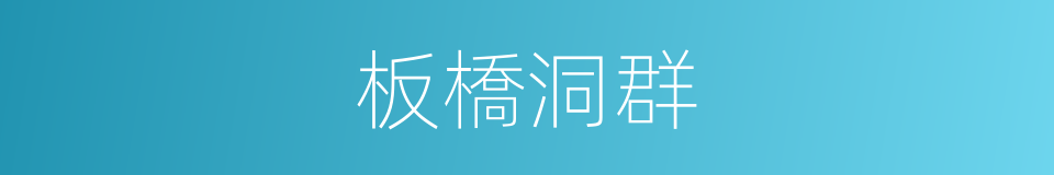 板橋洞群的同義詞