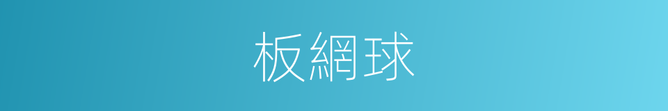 板網球的同義詞
