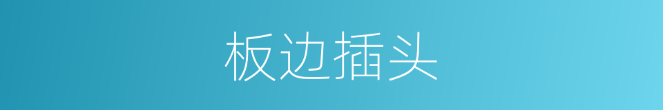 板边插头的同义词