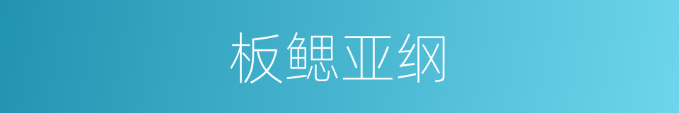 板鳃亚纲的同义词