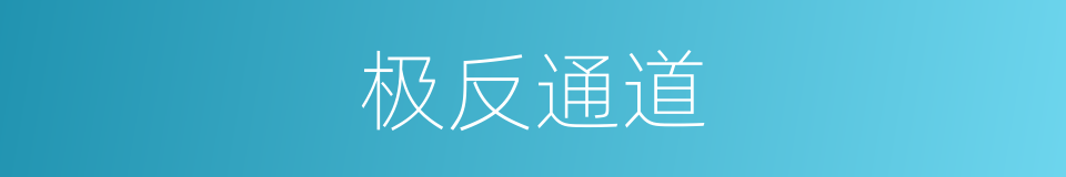 极反通道的同义词