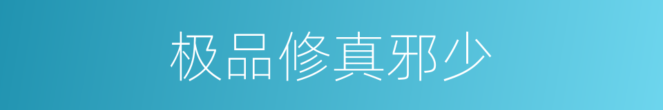 极品修真邪少的同义词
