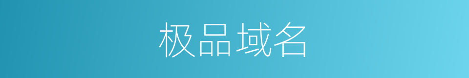 极品域名的同义词