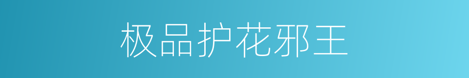 极品护花邪王的同义词