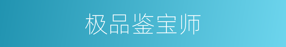 极品鉴宝师的同义词
