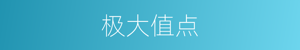 极大值点的同义词