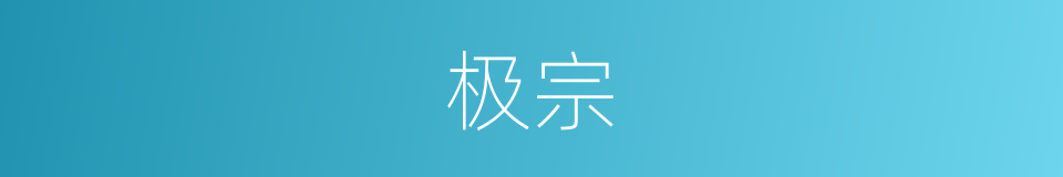 极宗的同义词